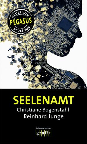 Cover of the book Seelenamt by Gabriella Wollenhaupt