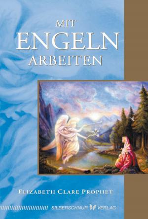 Book cover of Mit Engeln arbeiten