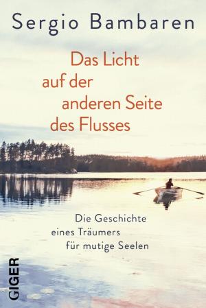 Cover of Das Licht auf der anderen Seite des Flusses
