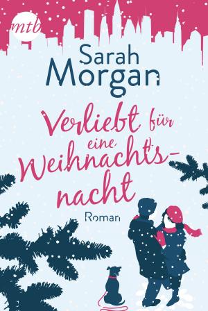 Cover of the book Verliebt für eine Weihnachtsnacht by Lisa Renee Jones