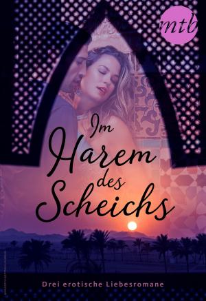 Cover of the book Im Harem des Scheichs - drei erotische Liebesromane by Anne Ashley