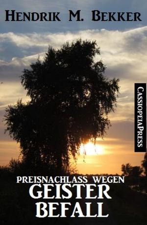 Book cover of Preisnachlass wegen Geisterbefall