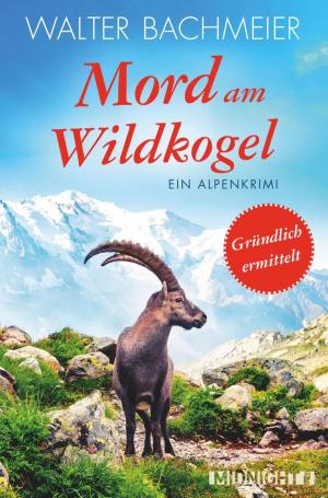 Cover of the book Mord am Wildkogel by Daniela Gesing