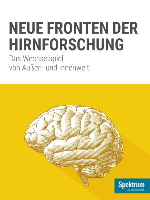 Cover of the book Spektrum Spezial - Neue Fronten der Hirnforschung by 