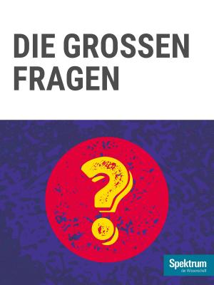 Cover of the book Gehirn&Geist Dossier - Die grossen Fragen by 