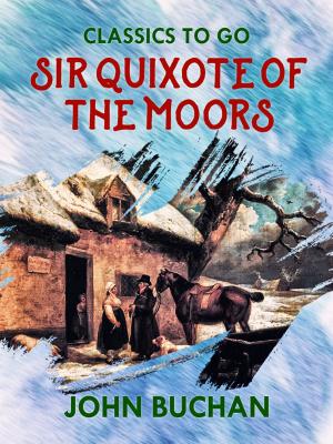 Book cover of Sir Quixote of the Moors