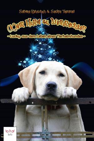 Cover of the book (K)ein Hund zu Weihnachten by anonymous