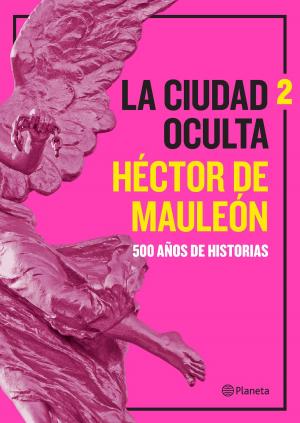 Cover of the book La ciudad oculta. Volumen 2 by Cristina Campos