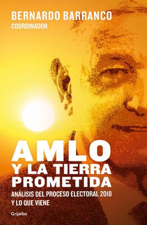 Cover of the book AMLO y la tierra prometida by Laura Sánchez Ley