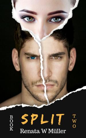 Cover of the book Split 2 by Aubrey A. Monroe