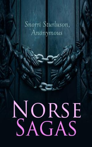 Cover of the book Norse Sagas by Kelly Peasgood