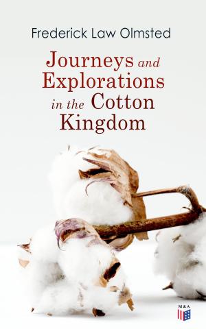 Cover of the book Journeys and Explorations in the Cotton Kingdom by Woodrow Wilson