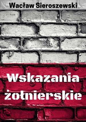 Cover of the book Wskazania żołnierskie by 水藍薰