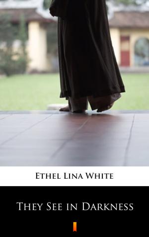 Cover of the book They See in Darkness by Ethel Lina White