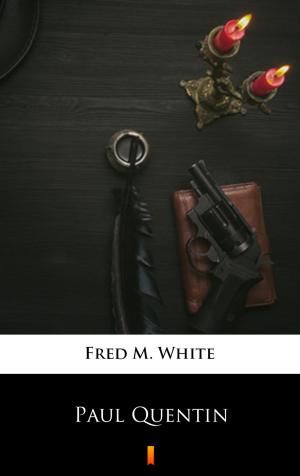 Cover of the book Paul Quentin by R. Austin Freeman