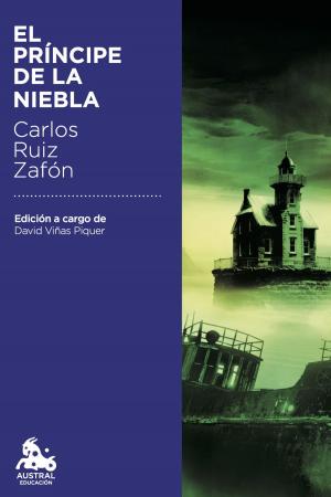Cover of the book El Príncipe de la Niebla by Carmela Díaz