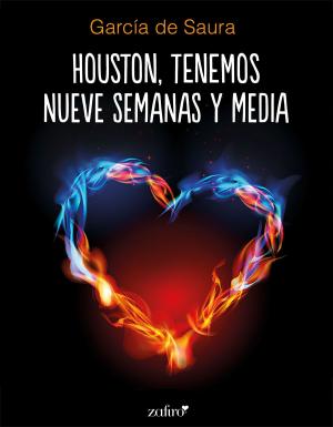 Cover of the book Houston, tenemos nueve semanas y media by Raquel Sánchez Silva