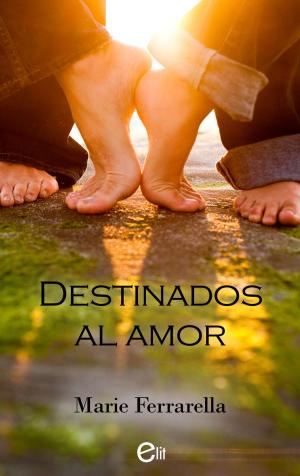 Cover of the book Destinados al amor by Louise Allen