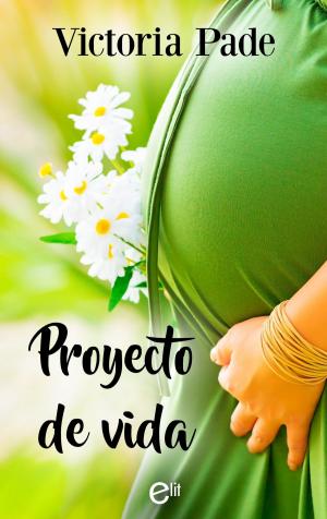 Cover of the book Proyecto de vida by Varias Autoras