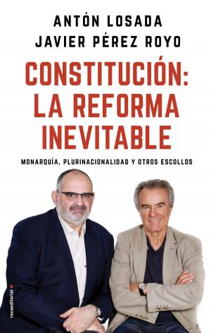Cover of the book Constitución: la reforma inevitable by Noelia Amarillo