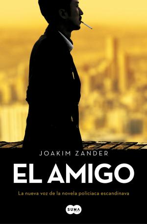Cover of the book El amigo by Ricardo Viel