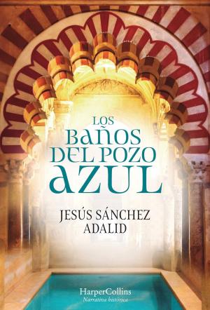 bigCover of the book Los baños del Pozo Azul by 