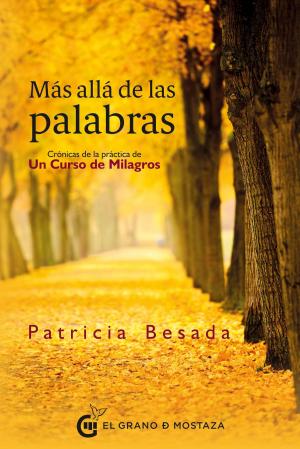 Cover of the book Más allá de las palabras by Magali Monclús, Alexandre Monclús, Filipo Pereira