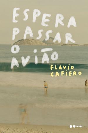 Cover of the book Espera passar o avião by Alison Bechdel