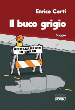 Cover of the book Il buco grigio by Angela Maglione