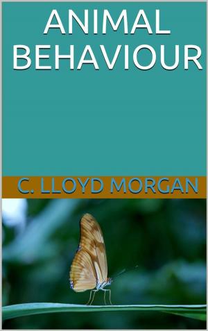 Book cover of Animal Behaviour
