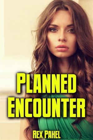 Cover of the book Planned Encounter by Pamela Clarke