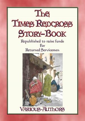 bigCover of the book THE TIMES RED CROSS STORY BOOK - 18 stories contributed by authors serving during WWI by 