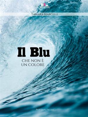Cover of the book Il blu che non è un colore by Khadija Rupa