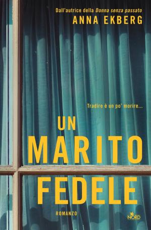 Cover of the book Un marito fedele by James Frey, Nils Johnson-Shelton