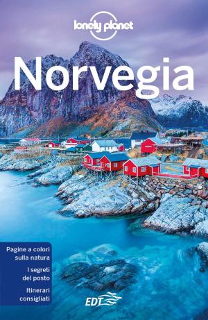Cover of the book Norvegia by Davide Enia