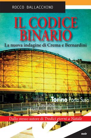 Book cover of Il codice binario