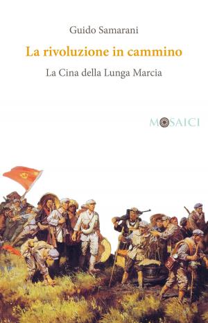 Cover of the book La rivoluzione in cammino by Gustavo Corni, Alessandro Barbero
