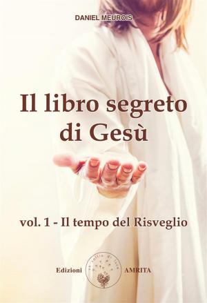 Cover of the book Il libro segreto di Gesù vol. 1 by Anne Givaudan, Silvia Di Luzio, Matteo Rizzato, Claudia Rainville