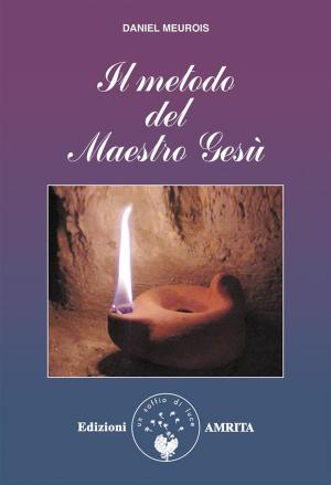 Cover of the book Il metodo del Maestro Gesù by Matteo Rizzato, Davide Donelli