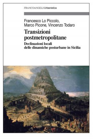 Book cover of Transizioni postmetropolitane