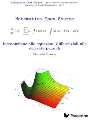 Cover of the book Introduzione alle equazioni differenziali alle derivate parziali by Edward William Lane