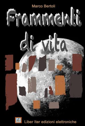 Cover of the book Frammenti di vita. Antologia di racconti by L.M. Nelson