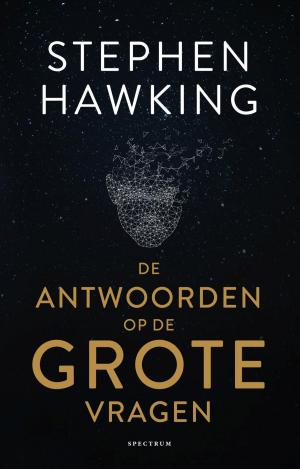 Cover of the book De antwoorden op de grote vragen by Vivian den Hollander