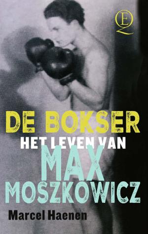 Cover of the book De bokser by Anna Woltz