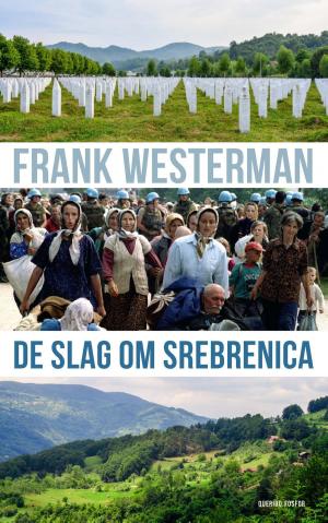 Cover of the book De slag om Srebrenica by J. Bernlef