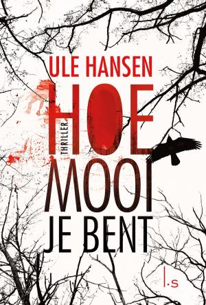 Cover of the book Hoe mooi je bent by Terry Goodkind