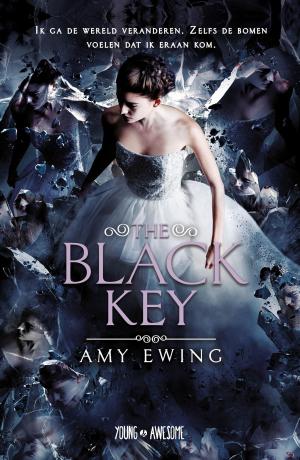Cover of the book The black key by Krystal Sutherland