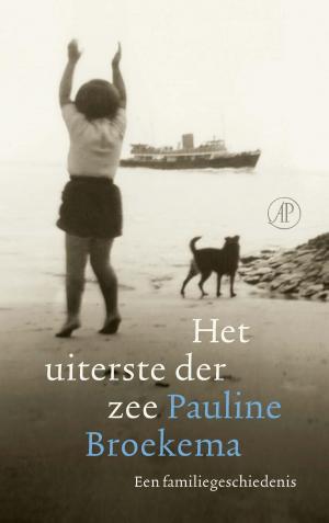 Cover of the book Het uiterste der zee by K. Schippers