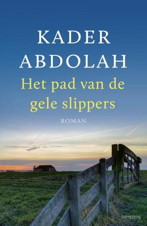 Book cover of Het pad van de gele slippers