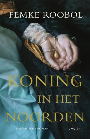 Cover of the book Koning in het noorden by Nicholas Capaldi